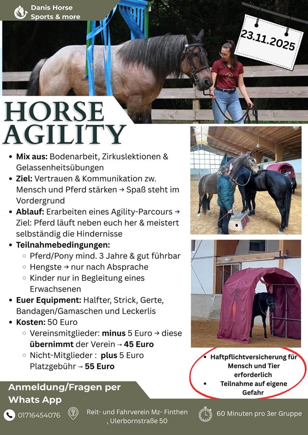 Horse Agility